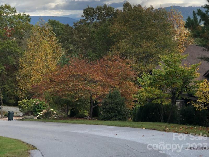 Lot M6 Pine Mountain Trail M6 Property Photo 8