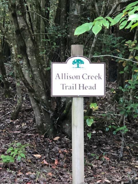 Lot M6 Pine Mountain Trail M6 Property Photo 9