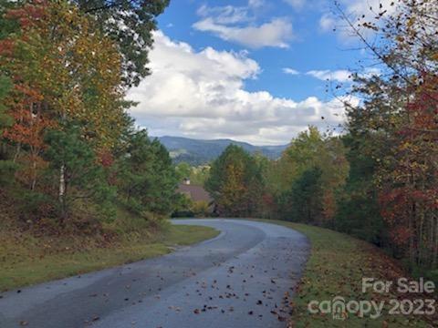 Lot M6 Pine Mountain Trail M6 Property Photo 10