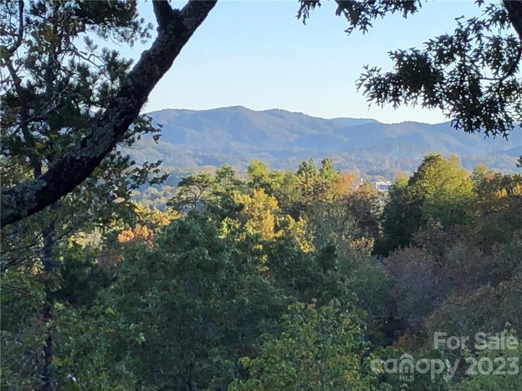 Lot M6 Pine Mountain Trail M6 Property Photo 15