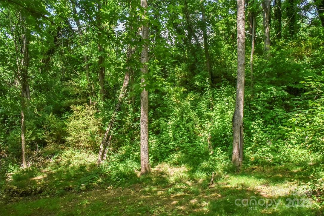 543 College Street Property Photo 19