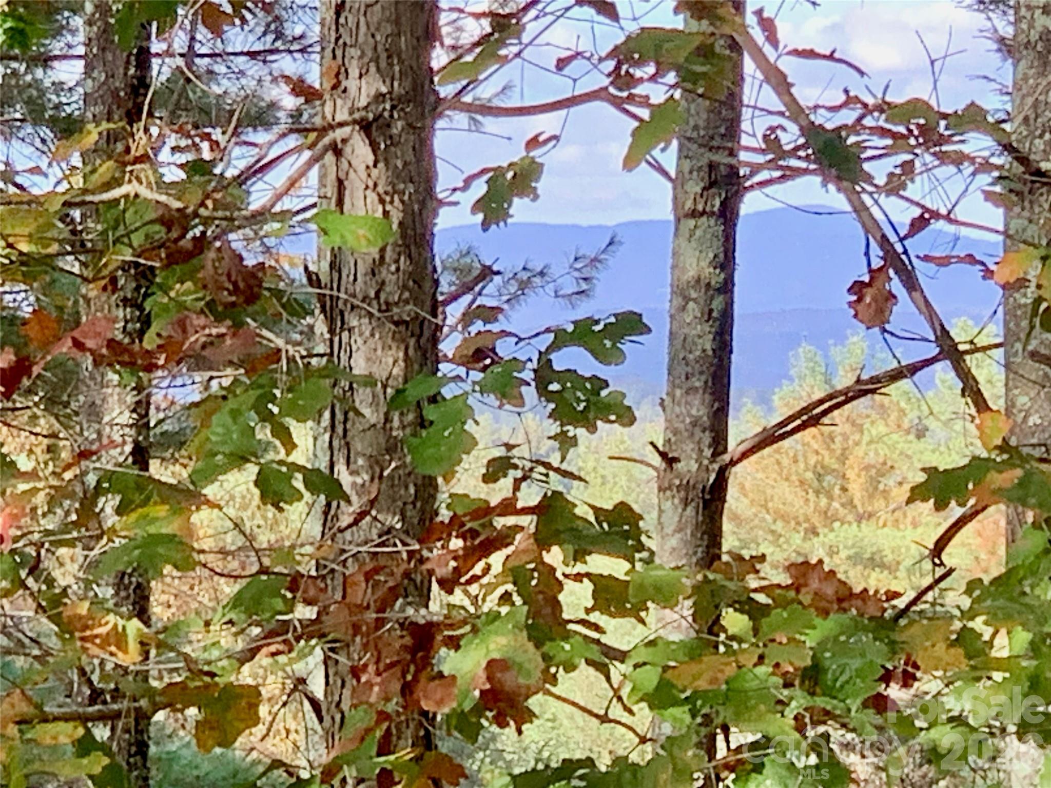 1.34 Acres, Lot 234 Waterfall Lane 234 Property Photo 3