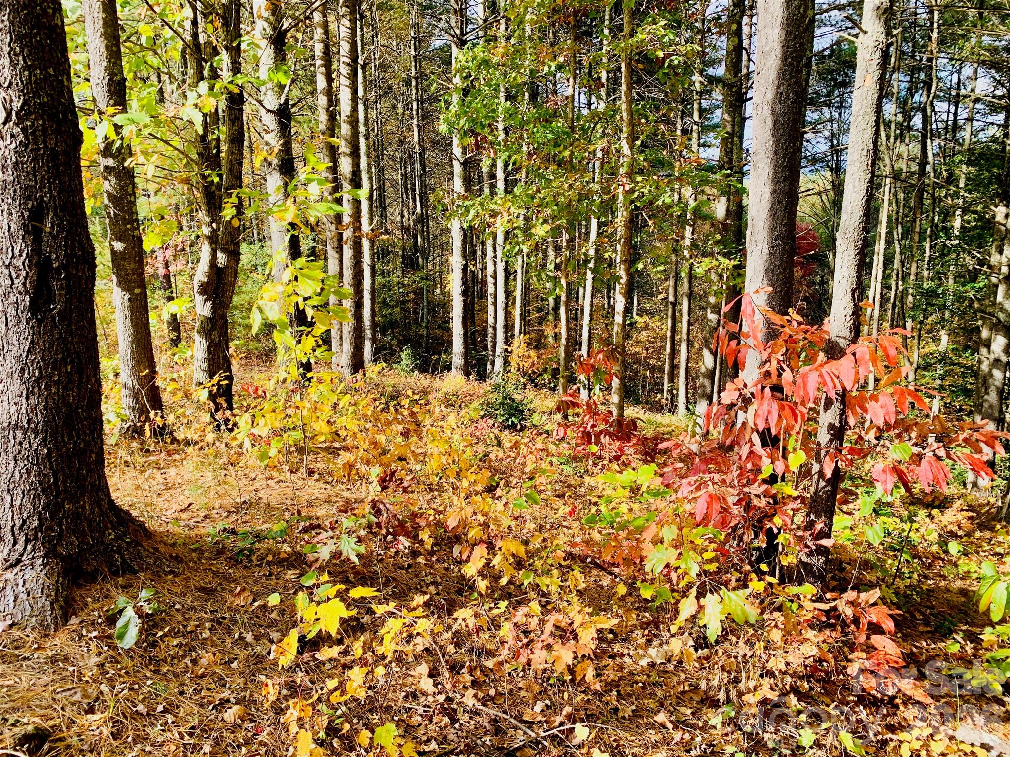 1.34 Acres, Lot 234 Waterfall Lane 234 Property Photo 5