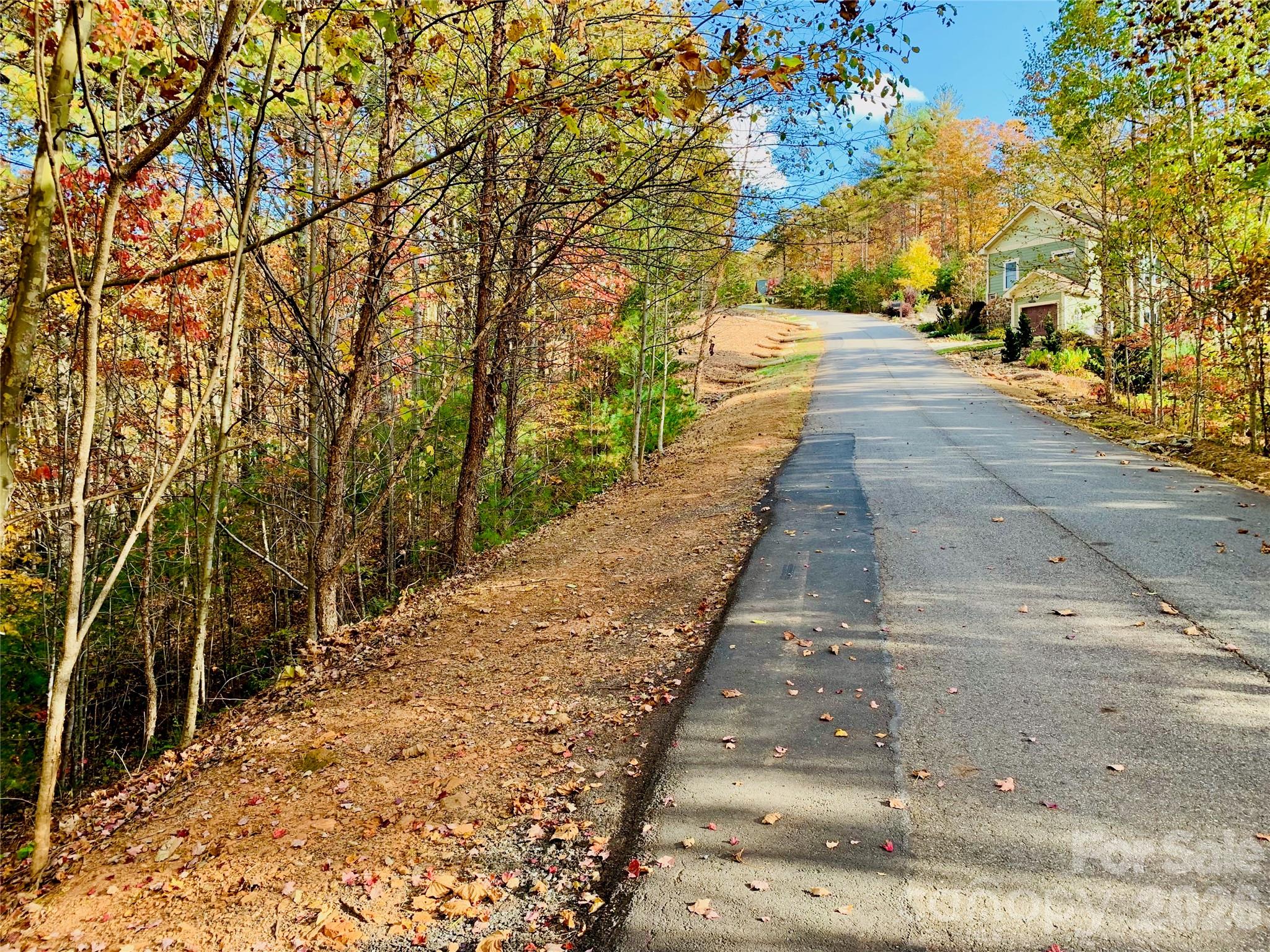 1.34 Acres, Lot 234 Waterfall Lane 234 Property Photo 7