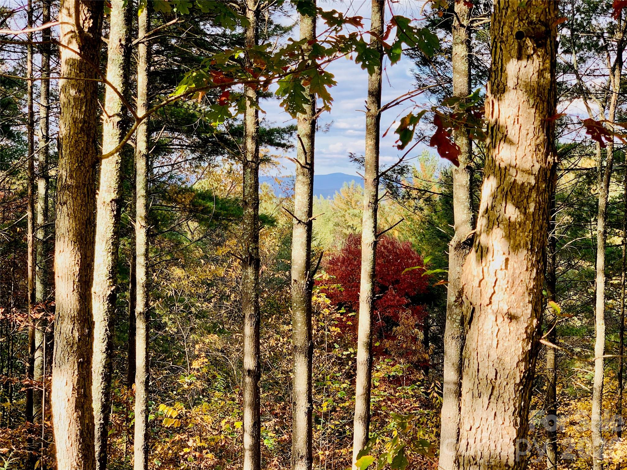 1.34 Acres, Lot 234 Waterfall Lane 234 Property Photo 8