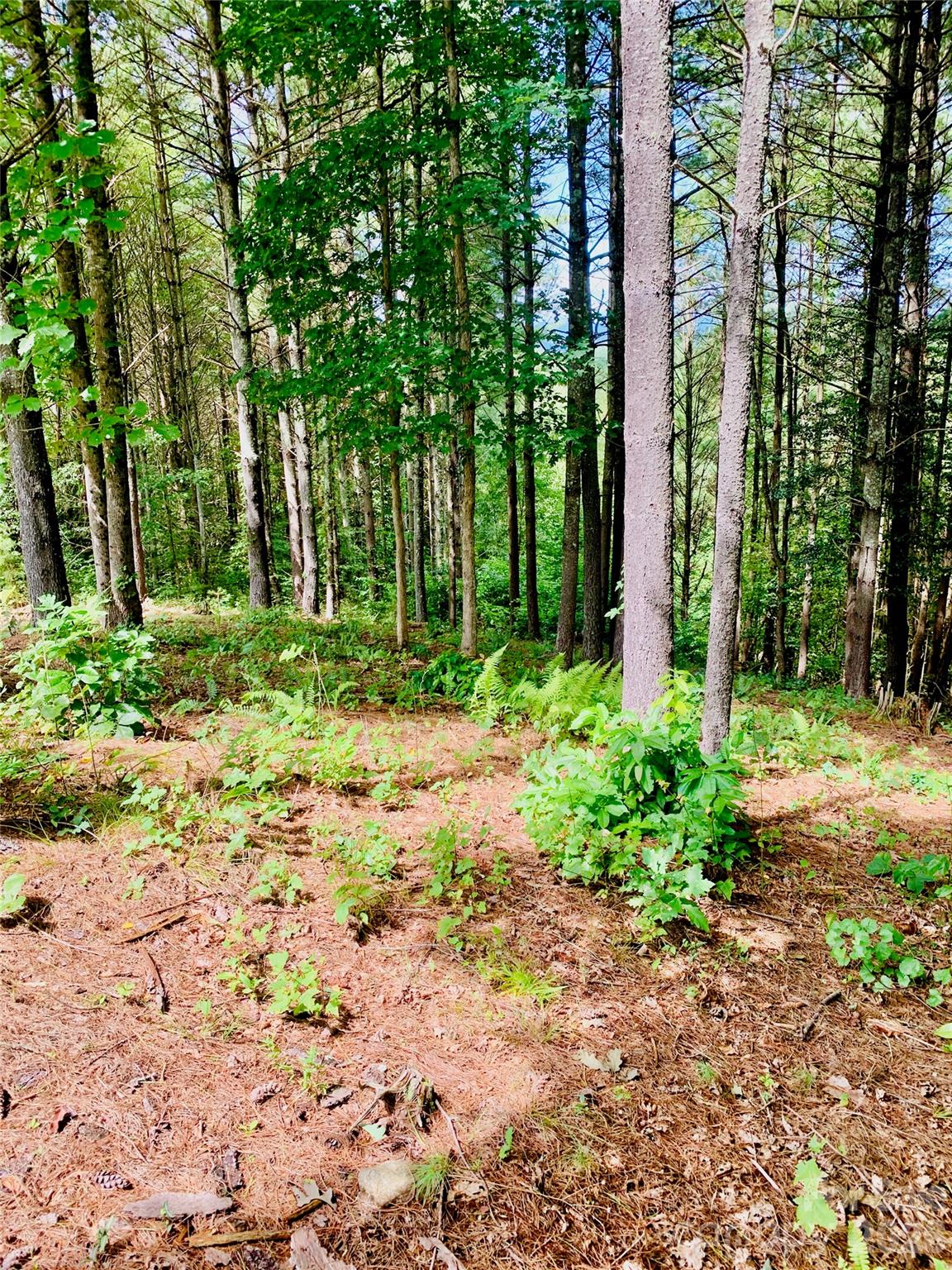 1.34 Acres, Lot 234 Waterfall Lane 234 Property Photo 10