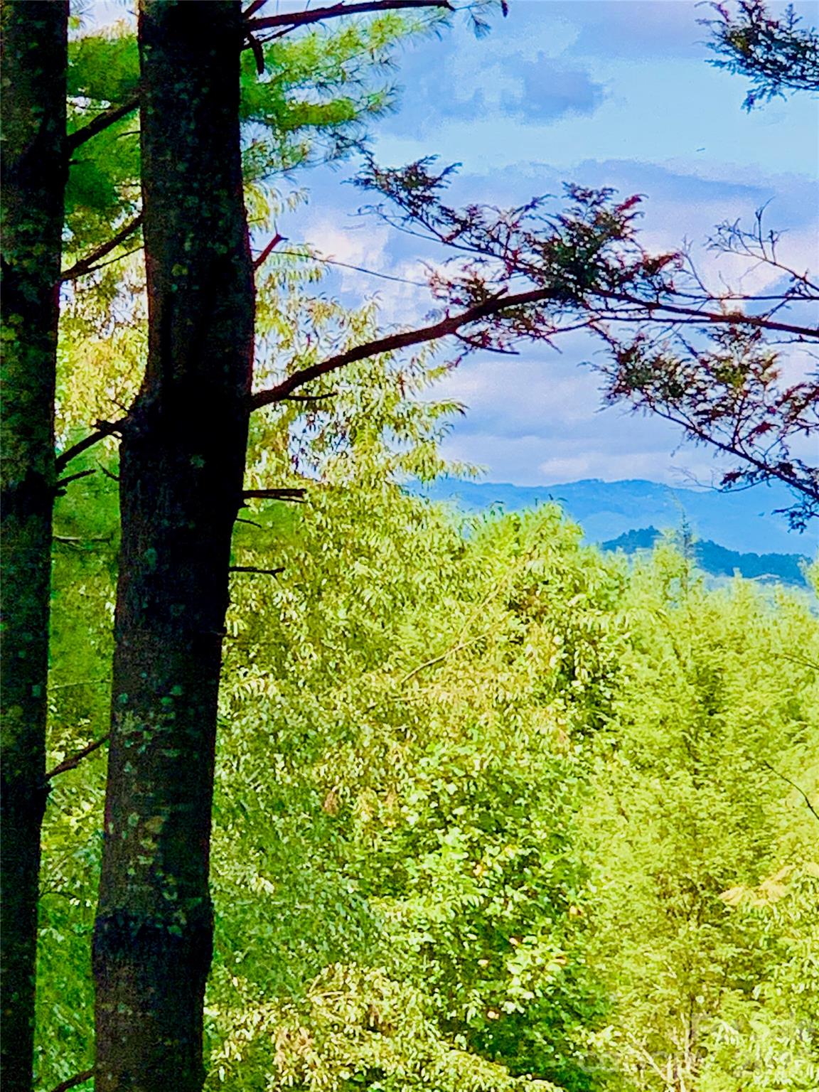 1.34 Acres, Lot 234 Waterfall Lane 234 Property Photo 11