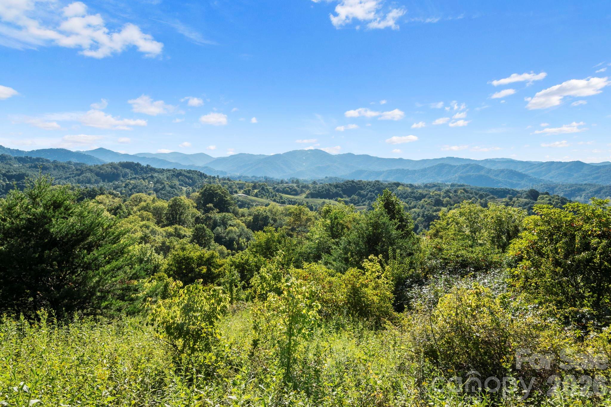 1231 Baileys Branch Road 3 Property Photo 1