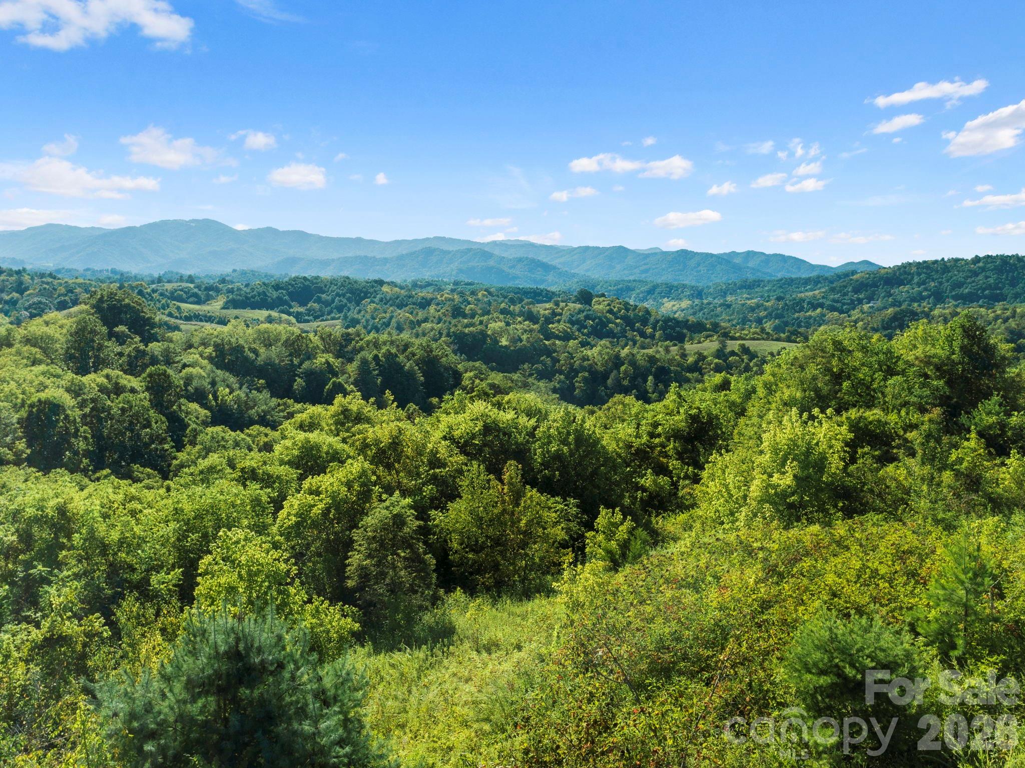 1231 Baileys Branch Road 3 Property Photo 28