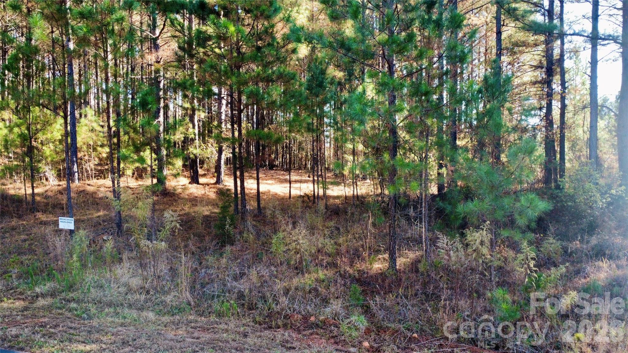 127 Whispering Pines Lane 70a Property Photo 3