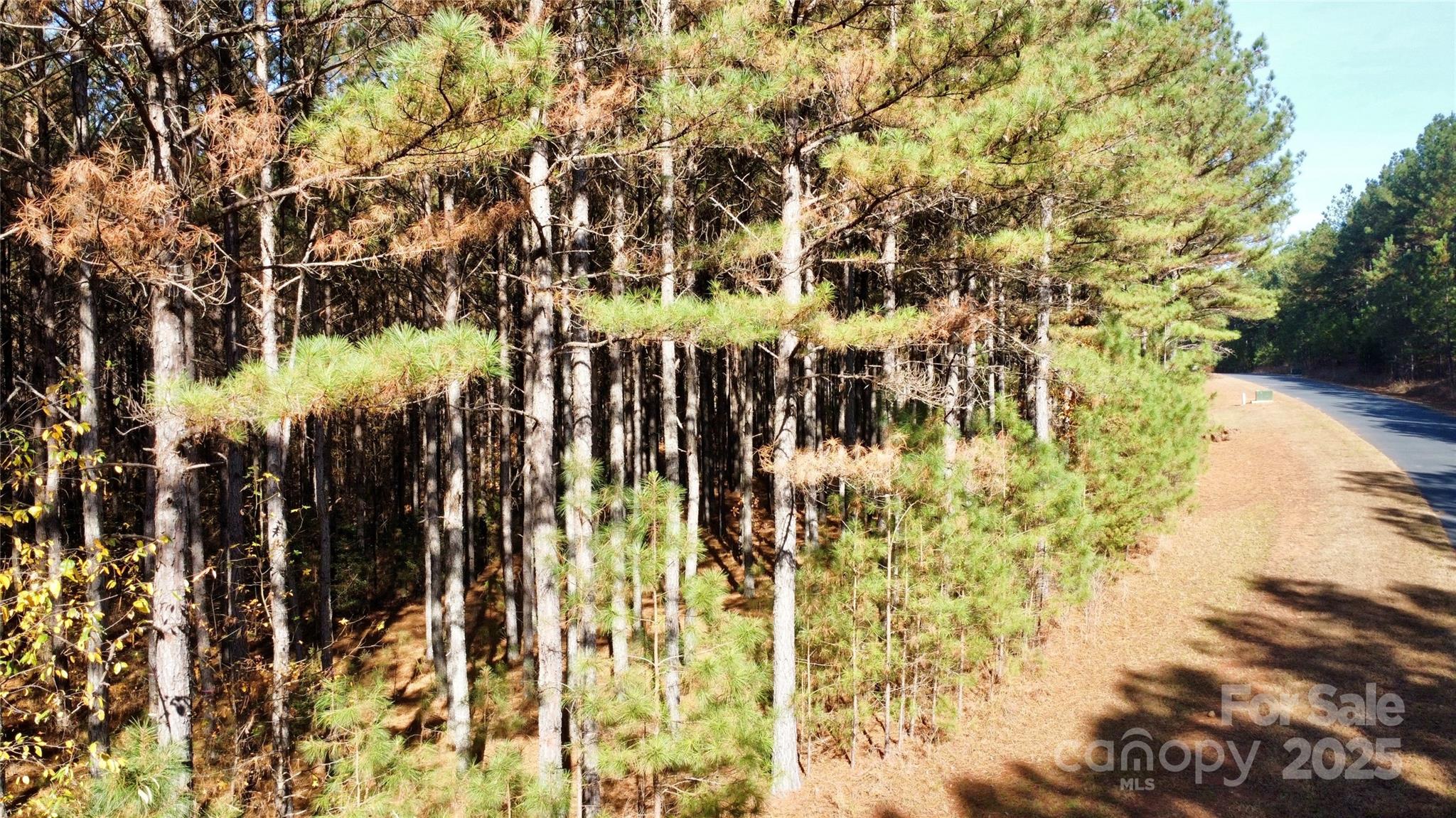 127 Whispering Pines Lane 70a Property Photo 12
