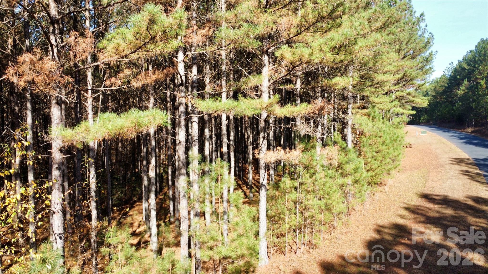 127 Whispering Pines Lane 70a Property Photo 14