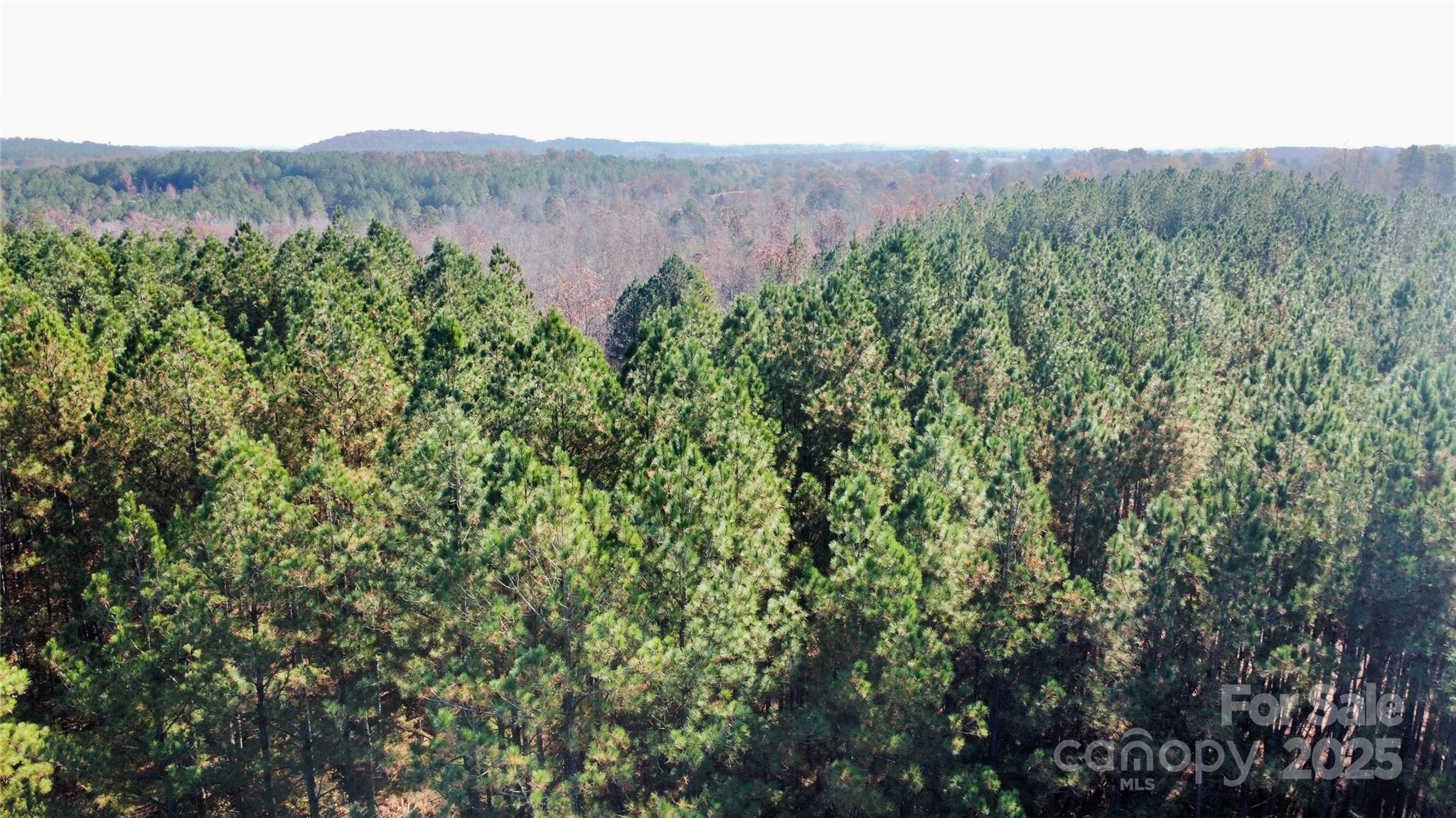 127 Whispering Pines Lane 70a Property Photo 16