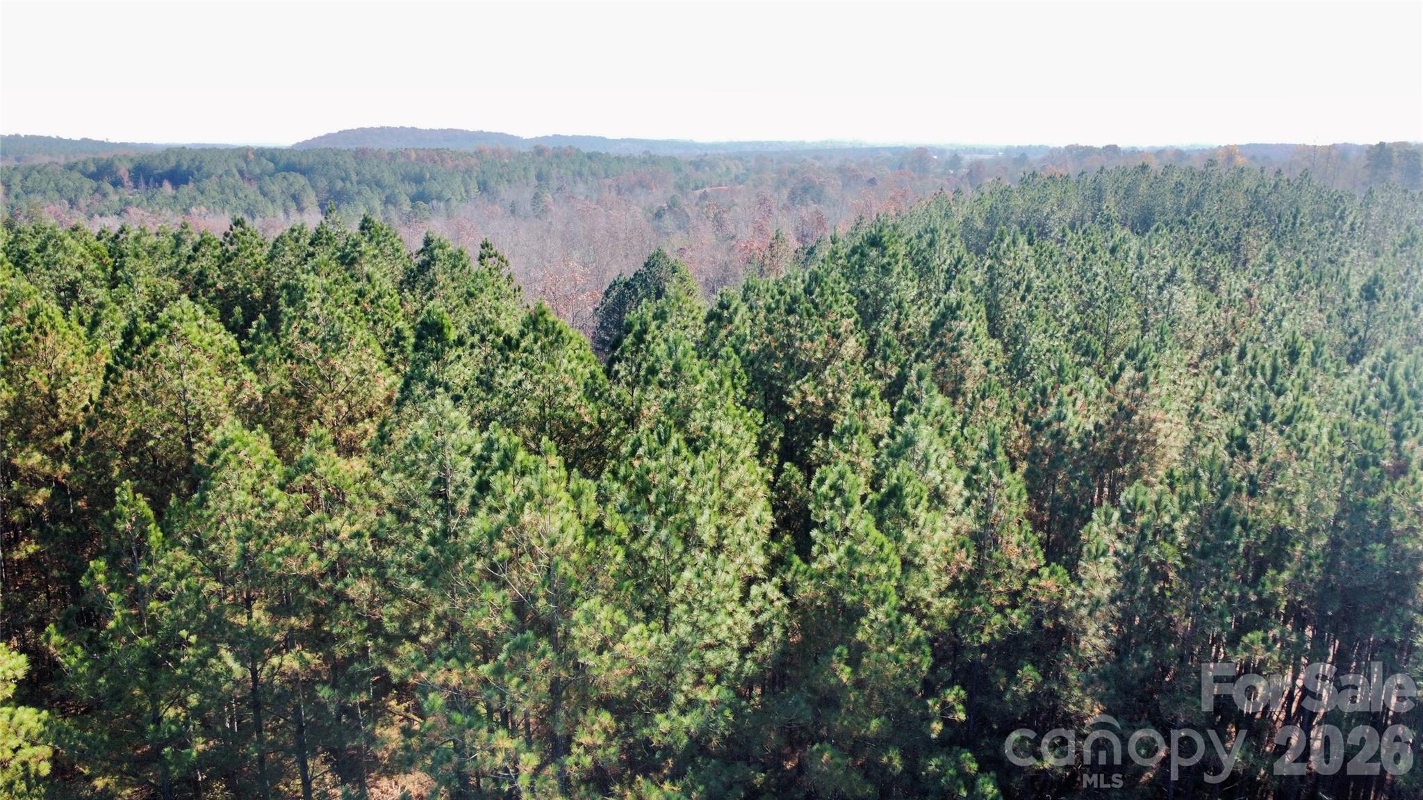 127 Whispering Pines Lane 70a Property Photo 16