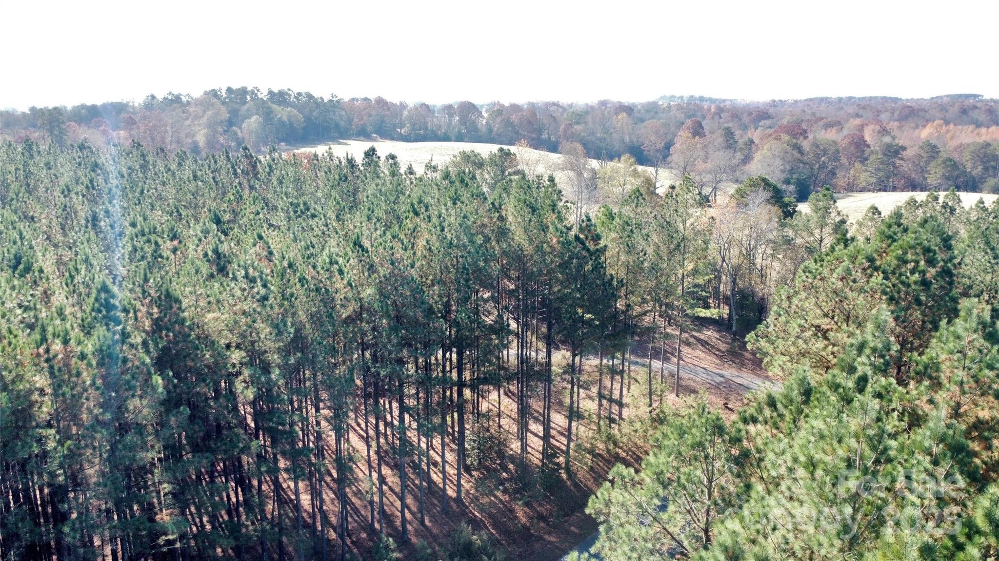 127 Whispering Pines Lane 70a Property Photo 17