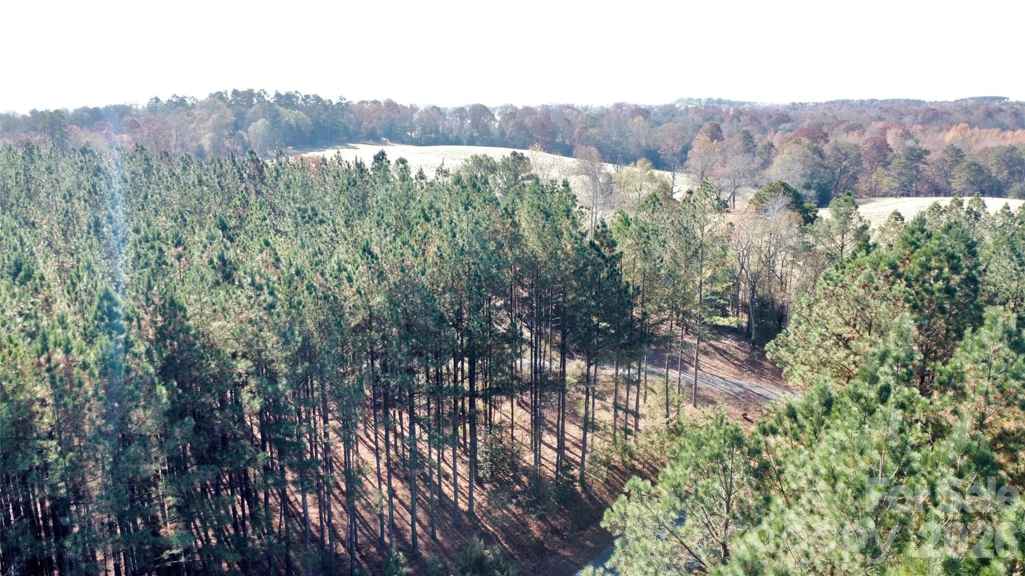 127 Whispering Pines Lane 70a Property Photo 17
