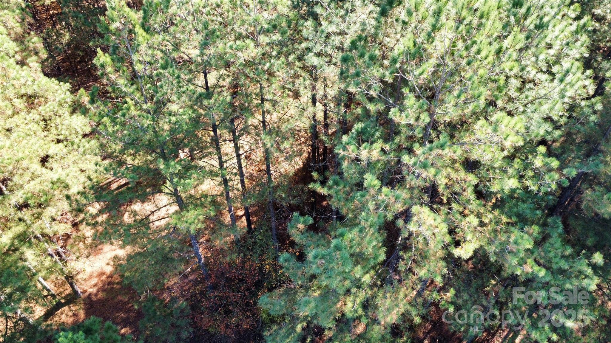 127 Whispering Pines Lane 70a Property Photo 18