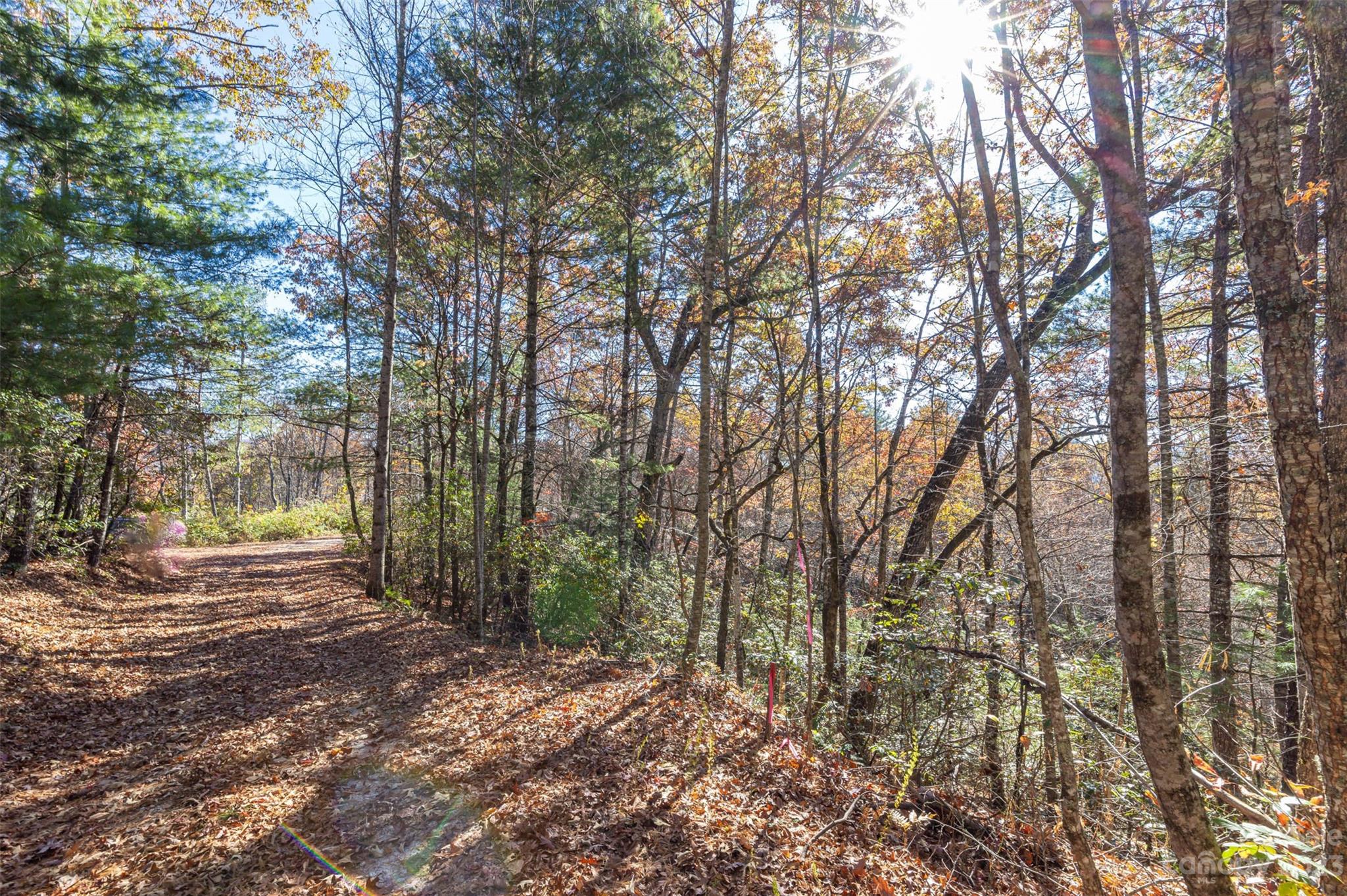 000 Needmore Road Property Photo 3