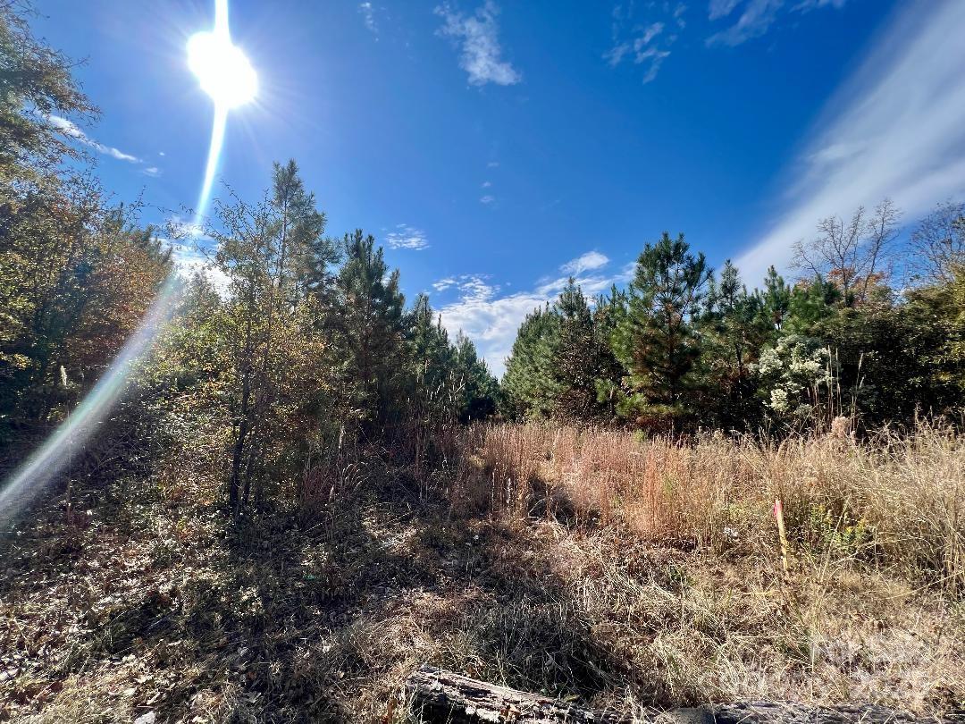11.53 Acres Old Camden Highway Property Photo 2