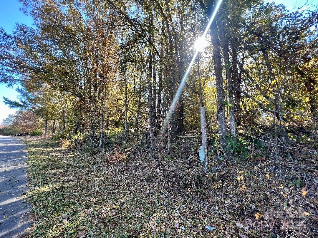 11.53 Acres Old Camden Highway Property Photo 5
