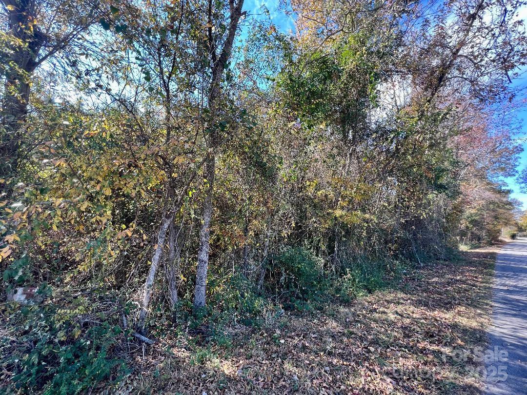 11.53 Acres Old Camden Highway Property Photo 7