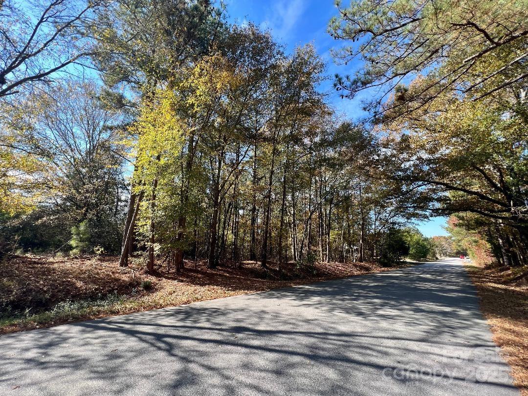 11.53 Acres Old Camden Highway Property Photo 12