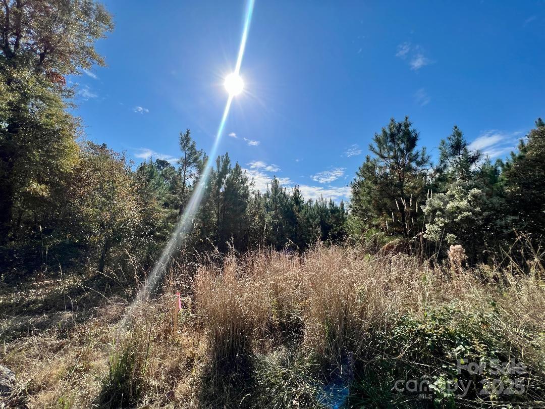 11.53 Acres Old Camden Highway Property Photo 17