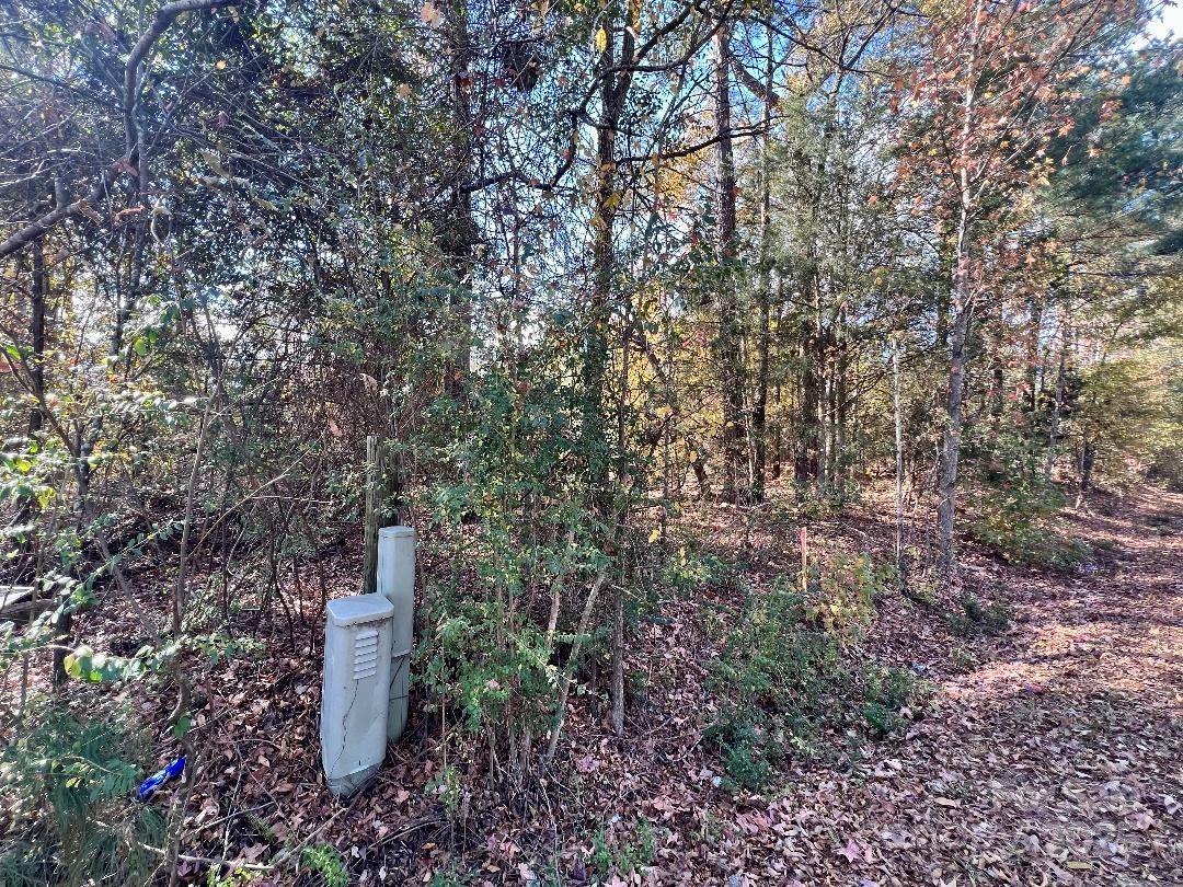 11.53 Acres Old Camden Highway Property Photo 18