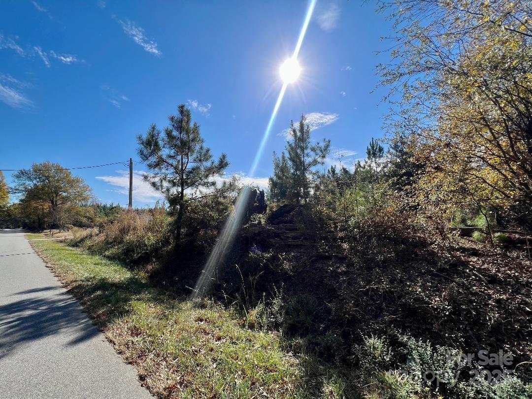 11.53 Acres Old Camden Highway Property Photo 20