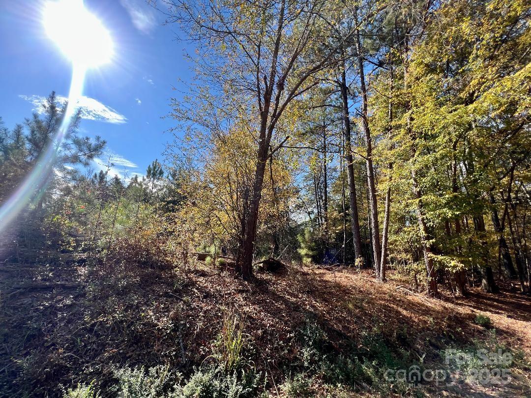 11.53 Acres Old Camden Highway Property Photo 21