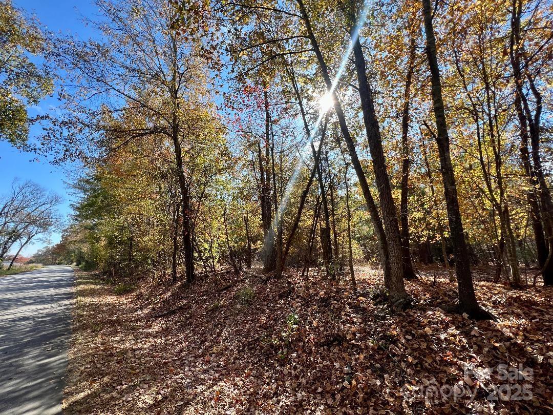 11.53 Acres Old Camden Highway Property Photo 22