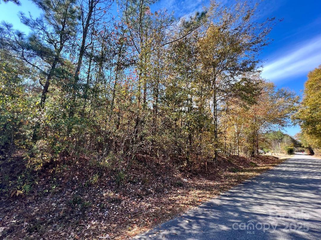 11.53 Acres Old Camden Highway Property Photo 23