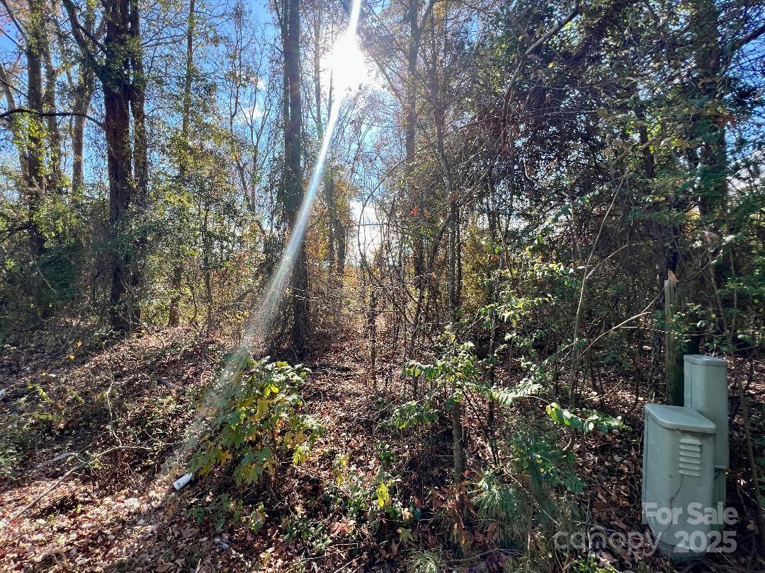 11.53 Acres Old Camden Highway Property Photo 25