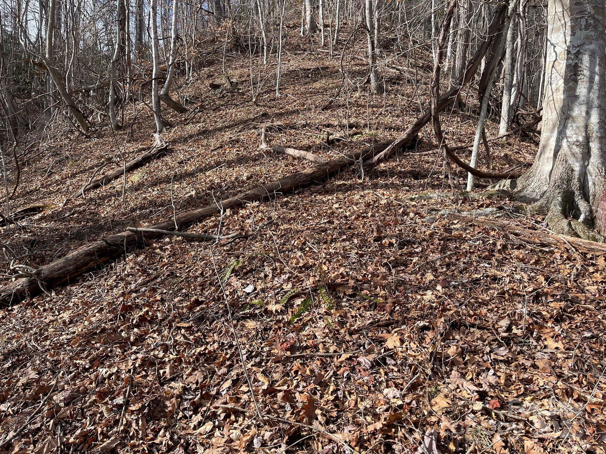 00 Norton Branch Road Property Photo 14