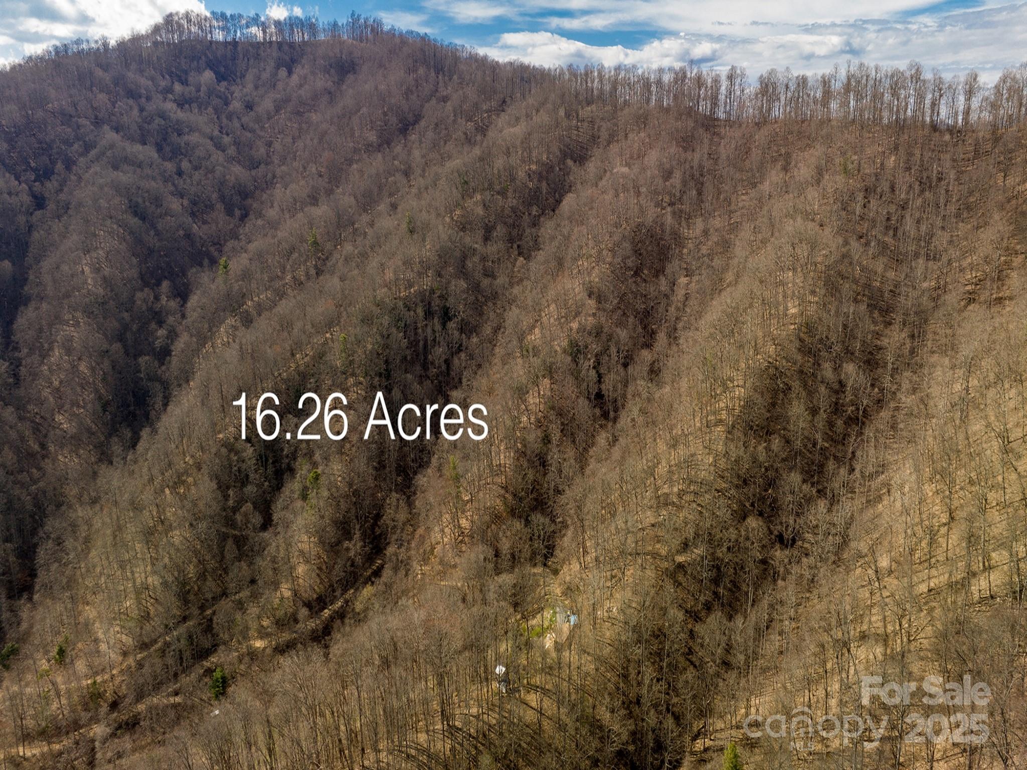 00 Norton Branch Road Property Photo 16