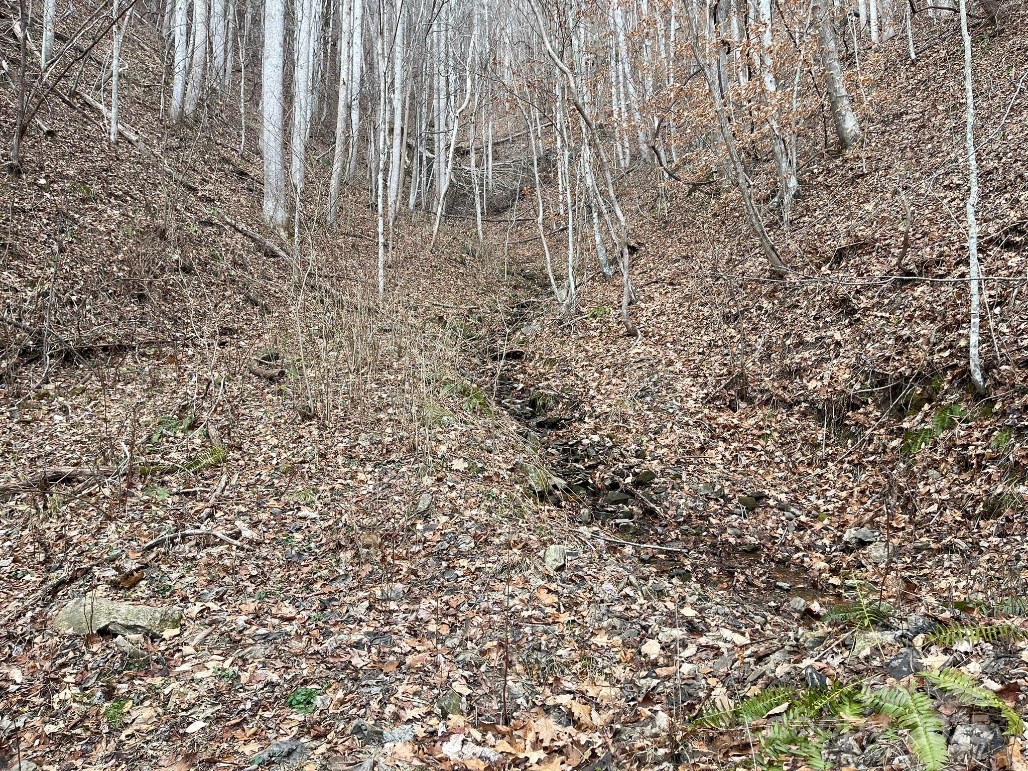 00 Norton Branch Road Property Photo 20