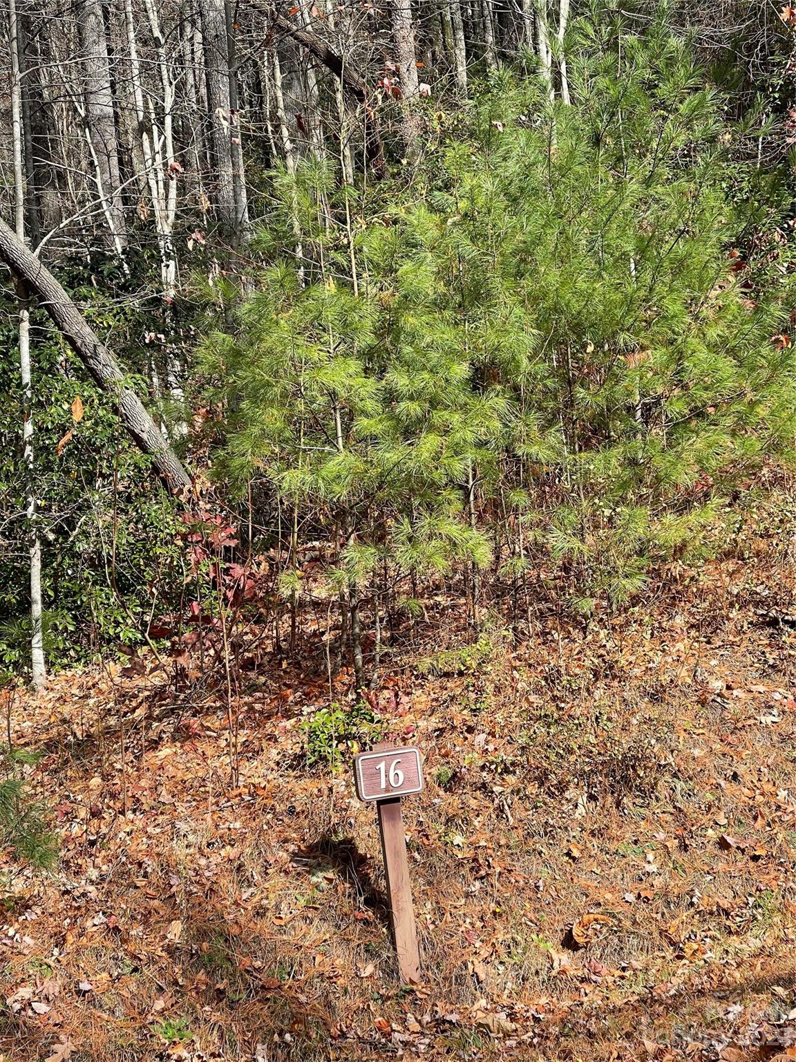 0000 Juniper Berry Lane Property Photo 1