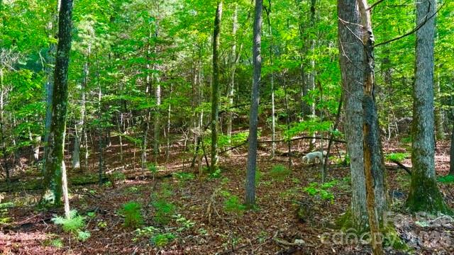 0000 Juniper Berry Lane 17r Property Photo 3