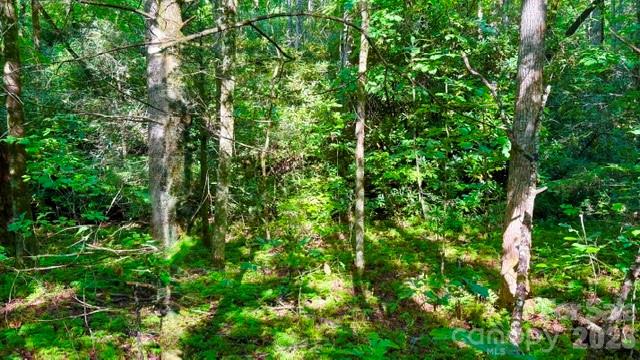 0000 Juniper Berry Lane 17r Property Photo 5