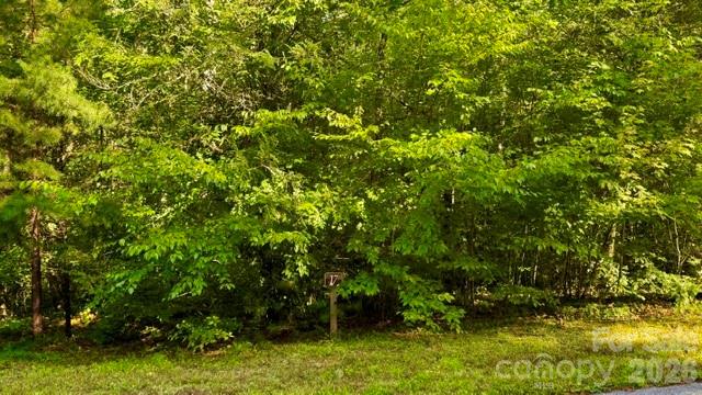 0000 Juniper Berry Lane 17r Property Photo 6