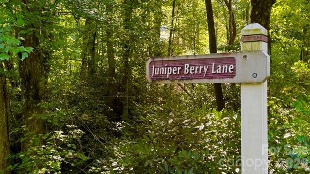 0000 Juniper Berry Lane 17r Property Photo 9
