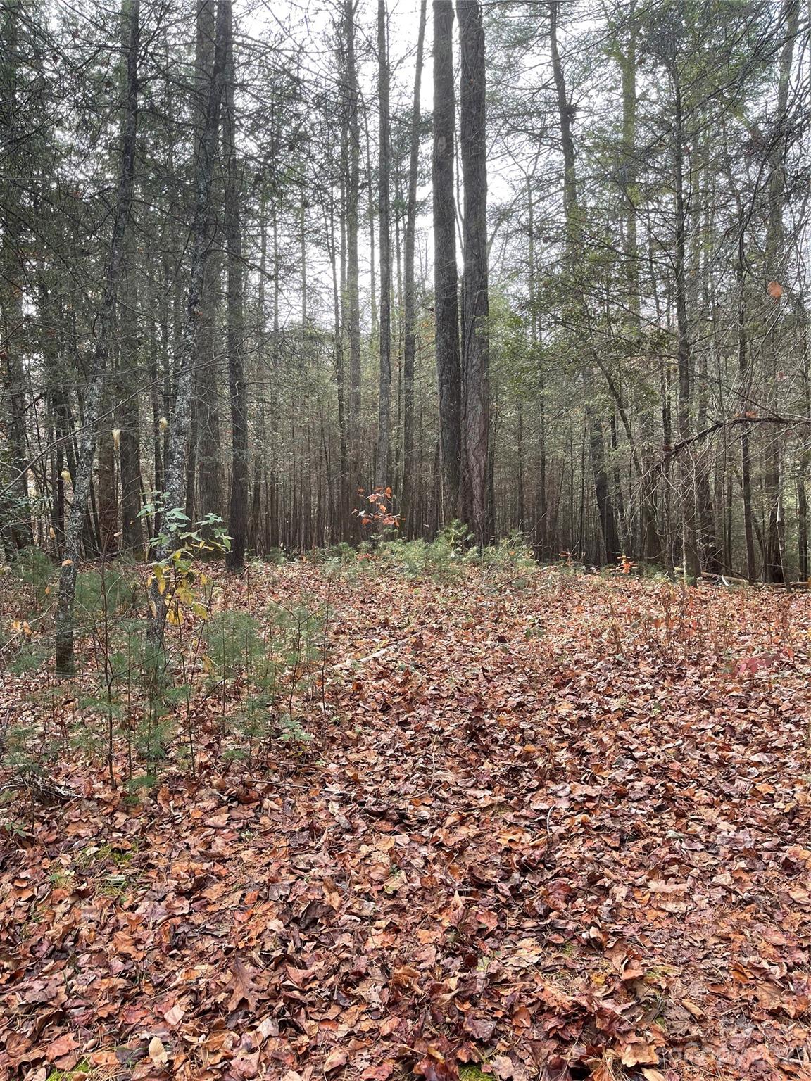 50 Mountain Escape Drive Property Photo 1