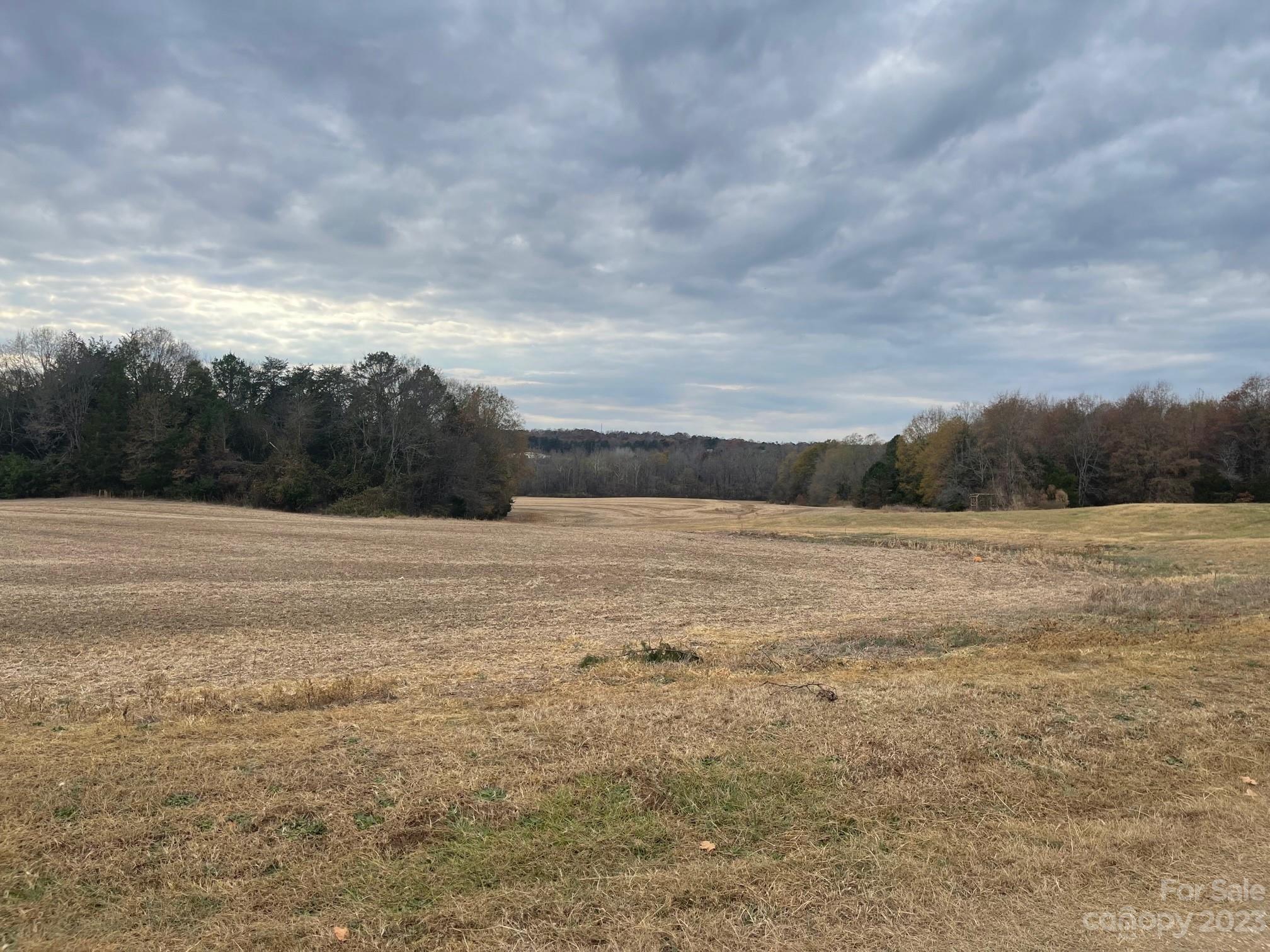 2423 Jim Johnson Road Property Photo 3
