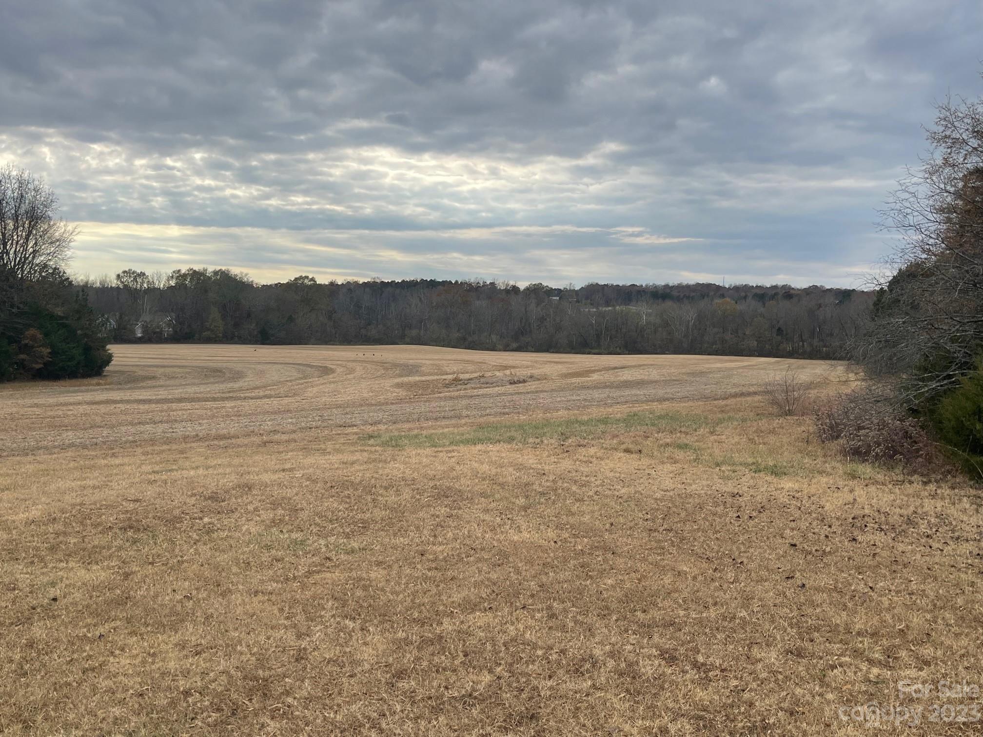 2423 Jim Johnson Road Property Photo 4