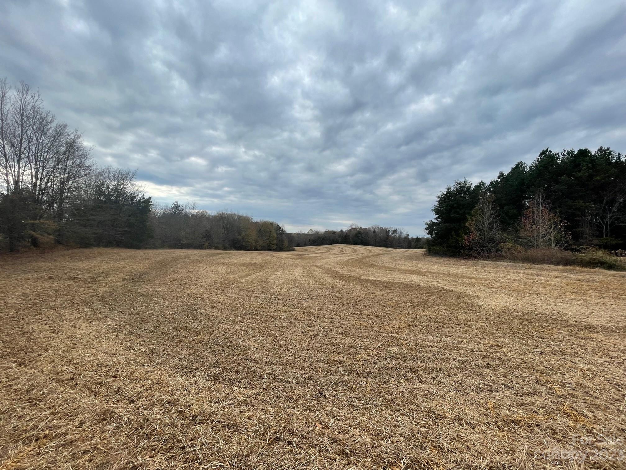 2423 Jim Johnson Road Property Photo 5
