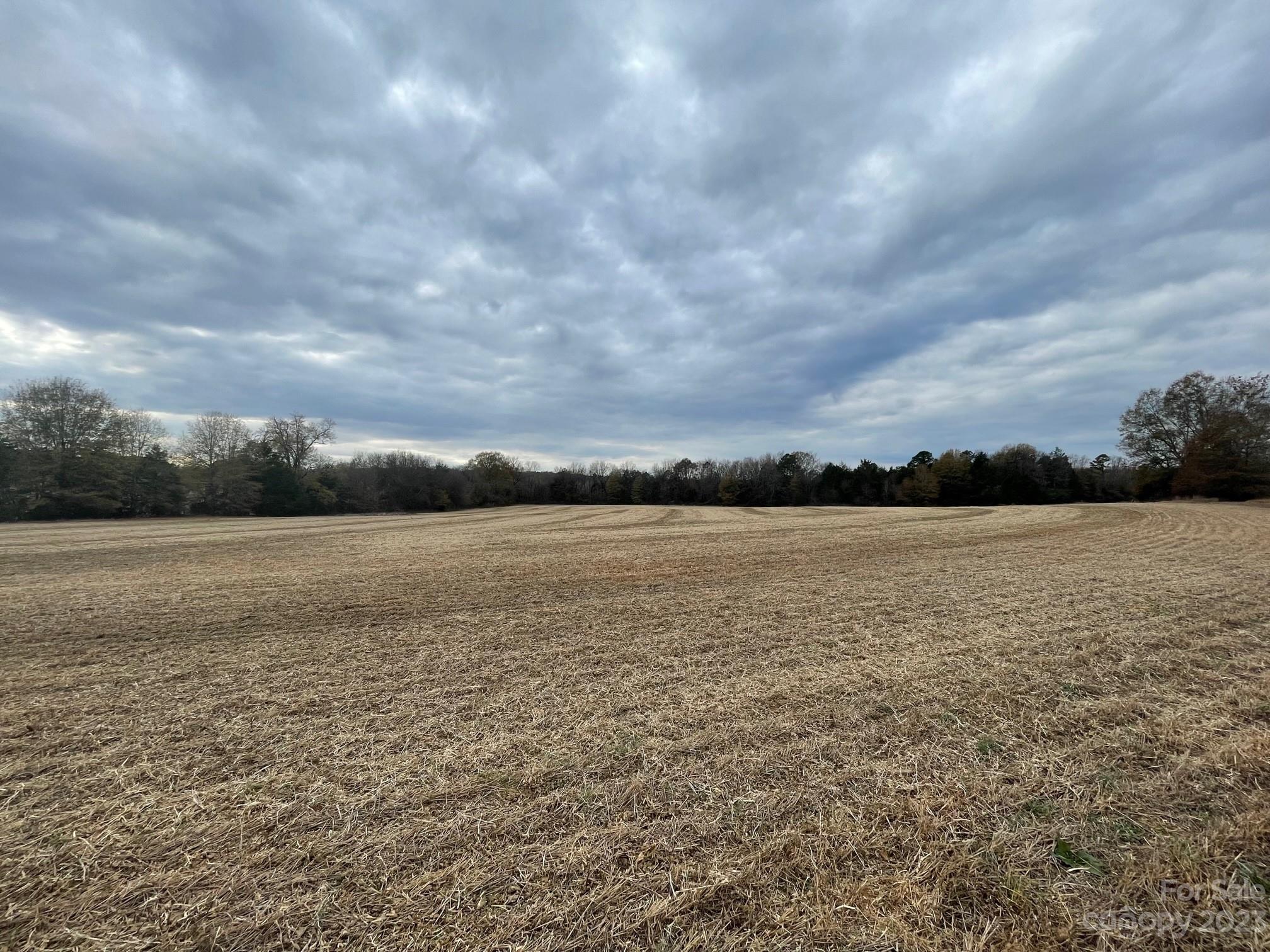 2423 Jim Johnson Road Property Photo 7