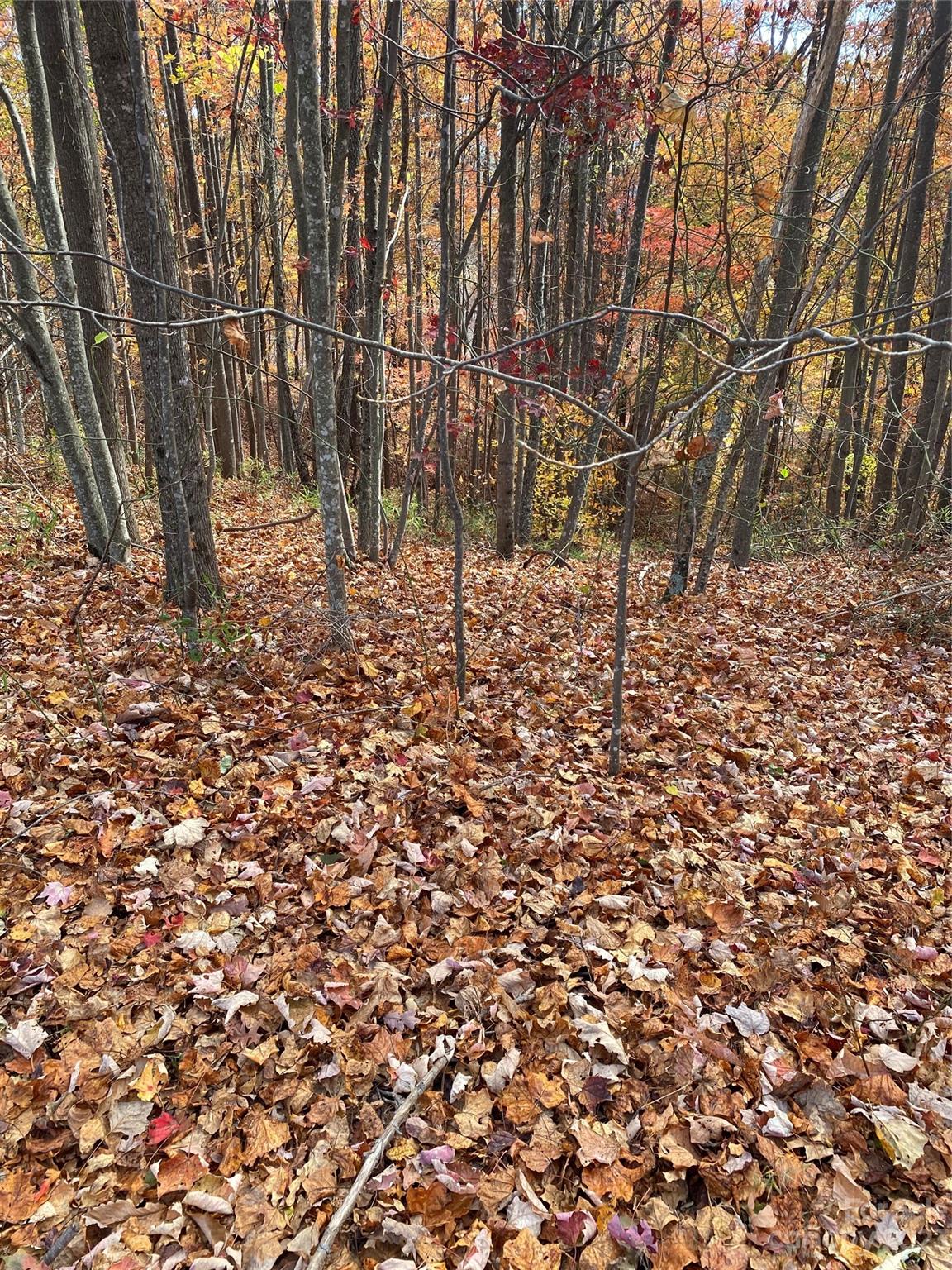 Tbd Meditation Ridge Drive 43 Property Photo 15