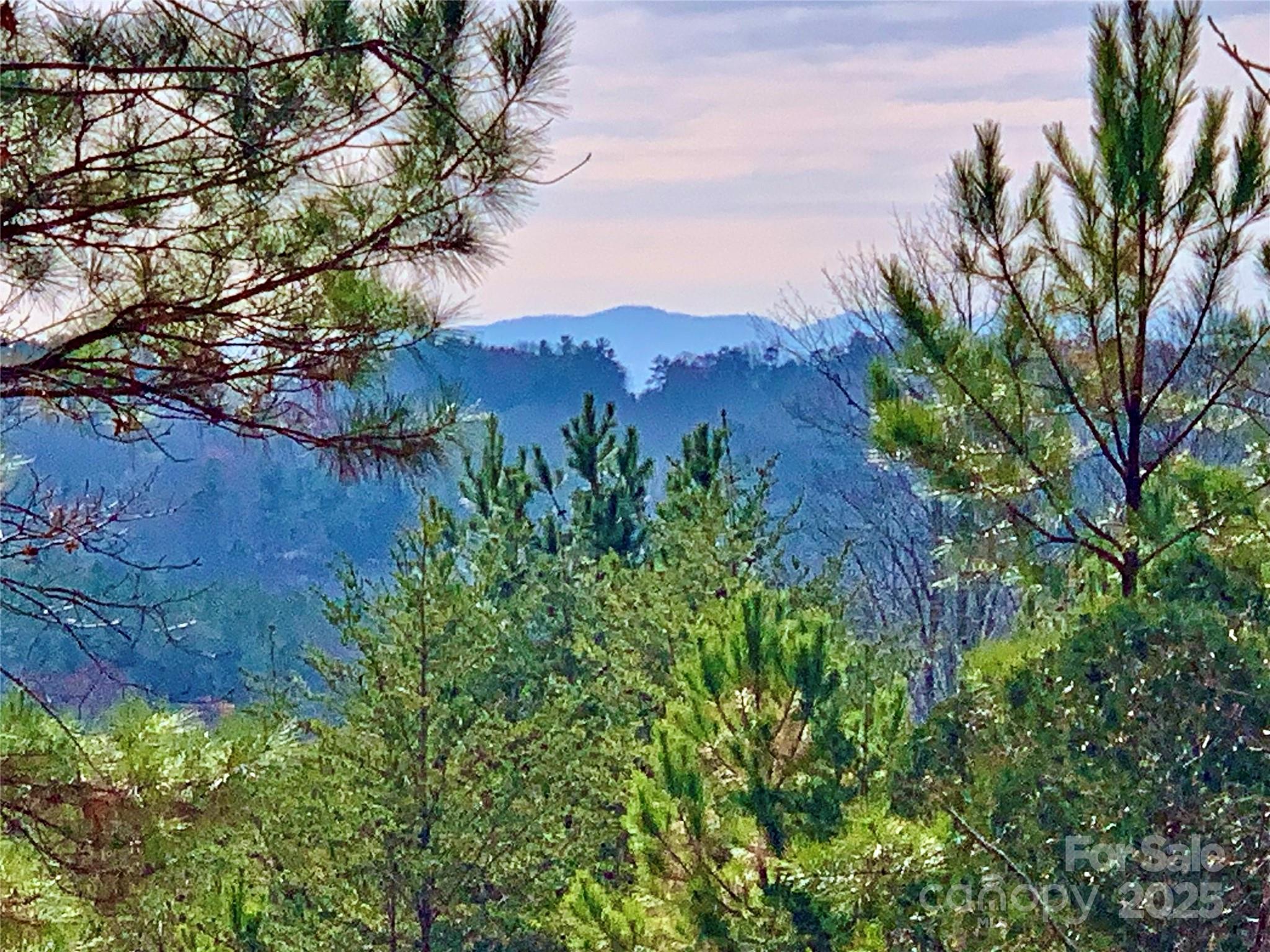 2.53 Acres Low Valley Way Lot 602 Property Photo