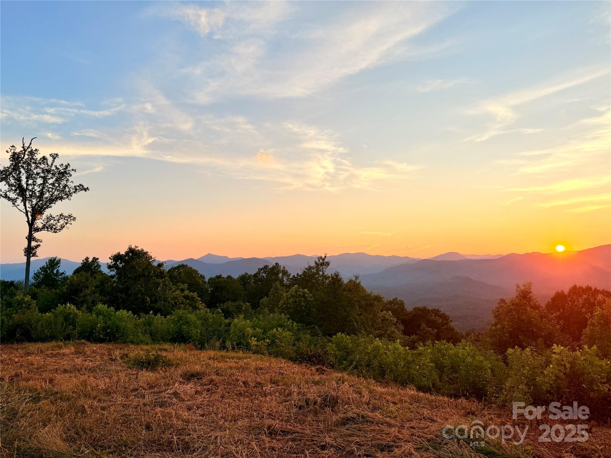 0 Shoal Ridge 5 Property Photo 1
