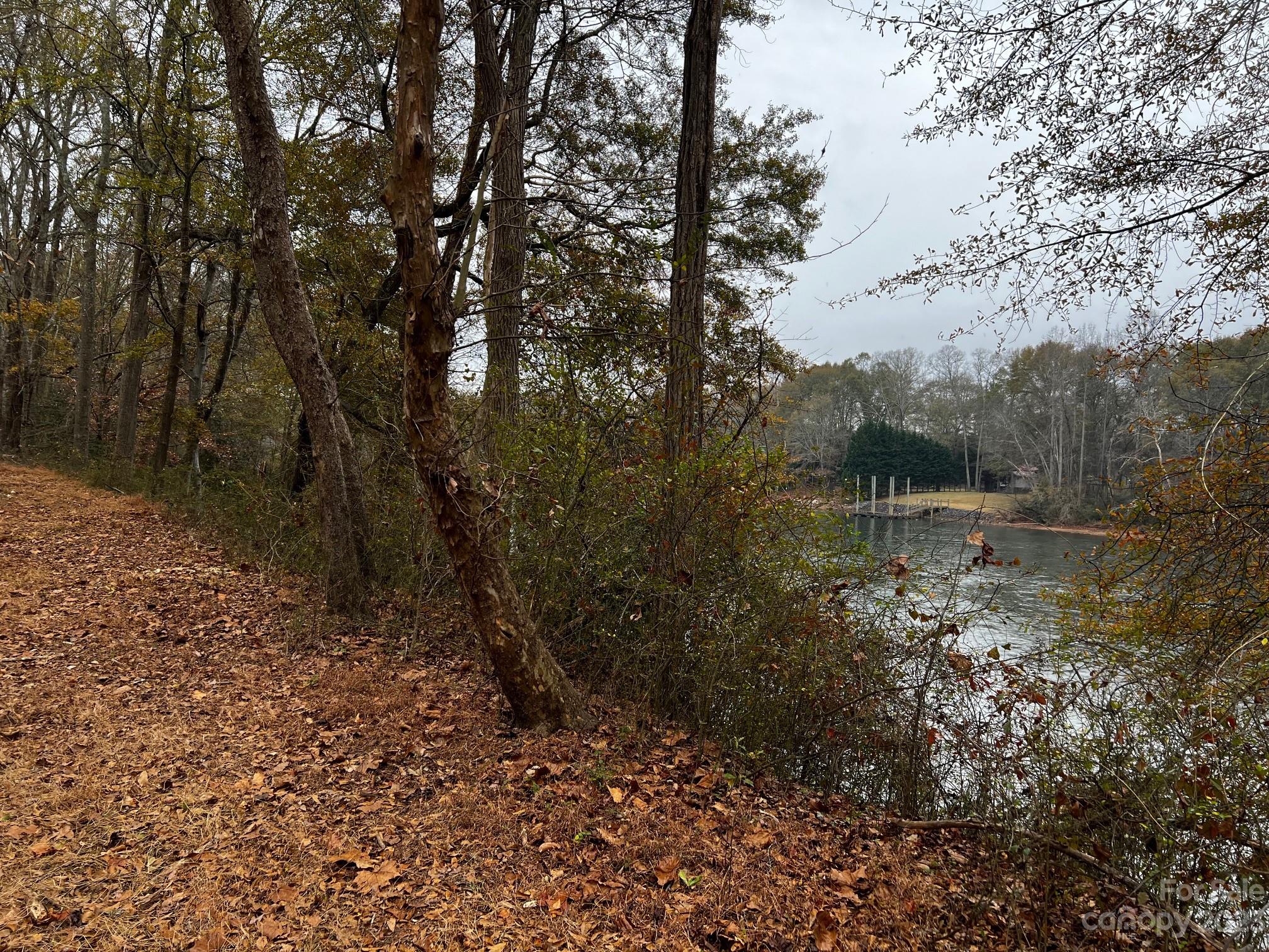 Lot 155 Lookout Dam Road Property Photo 3
